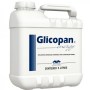 GLICOPAN ENERGY (REFIL) 5 L